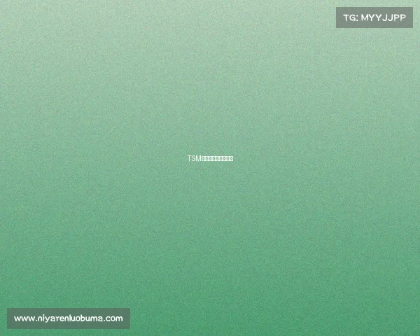 TSM战队:铸就荣光之路 TSM战队:铸就荣光之路