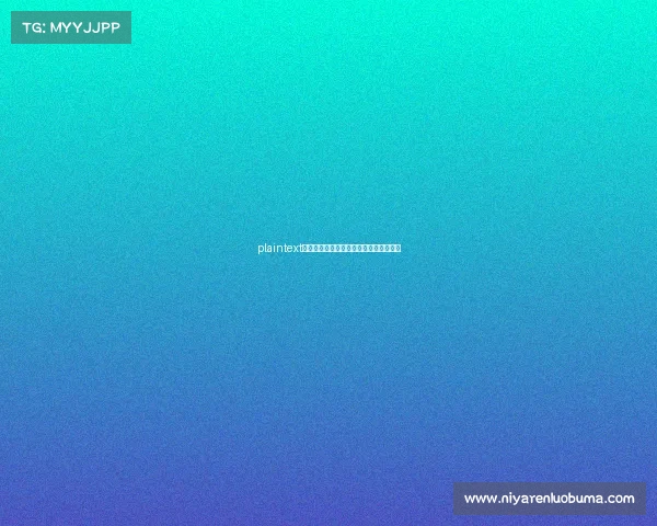 plaintext绿茵场与虚拟战场：双重领域的解说之星